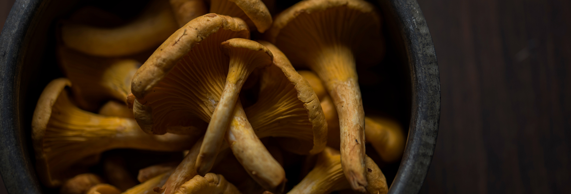 Champignons